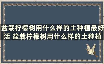 盆栽柠檬树用什么样的土种植最好活 盆栽柠檬树用什么样的土种植最好看